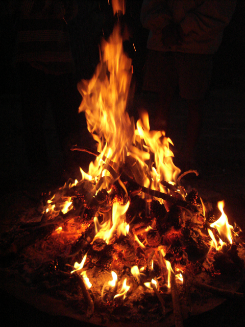 Campfire_Pinecone